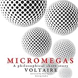 Micromegas: A philosophical short story