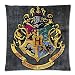 Hogwarts School Sign Gryffindor Ravenclaw Hufflepuff Slytherin Custom Pillowcase Pillow Sham Throw Pillow Cushion Case Cover 18x18 Inches
