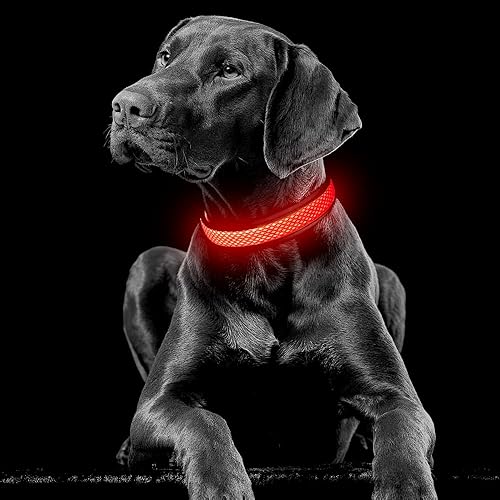 Miniatura 7 de YFbrite Collar de perro con luz, collar de perro LED recargable, collar de perro intermitente, collar de perro reflectante ajustable de seguridad