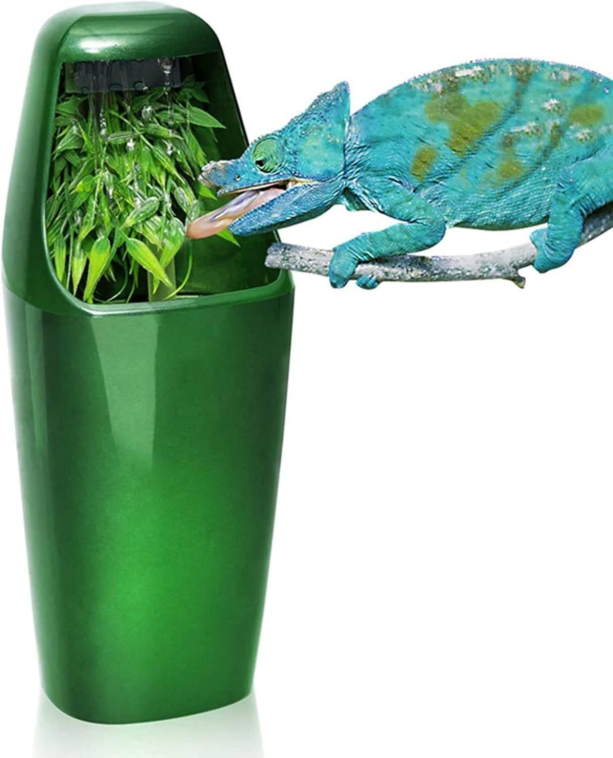 Fontaine à boire caméléon Juje pour stopper la déshydratation des reptiles