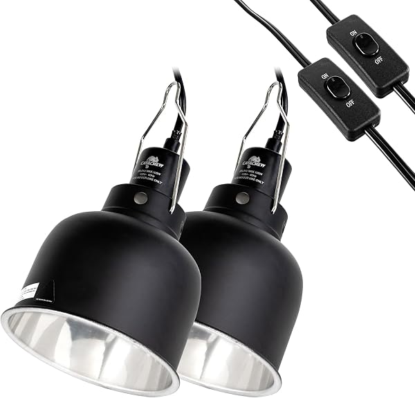 CAVACHEW Dome Reptile Light Fixture