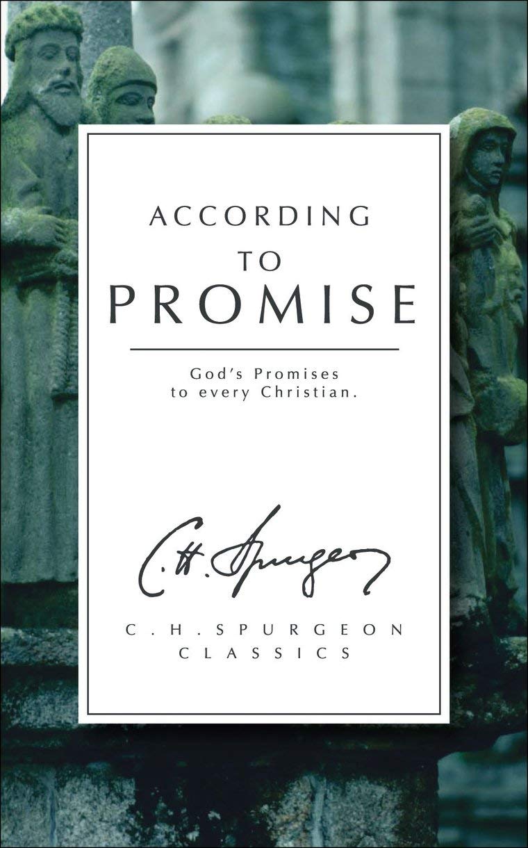 According to Promise : God's Promises to Every Christian