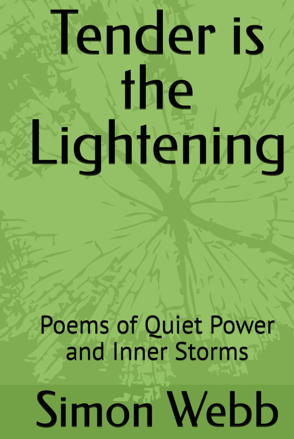 Tender is the Lightening: Poems of Quiet Power and Inner Storms