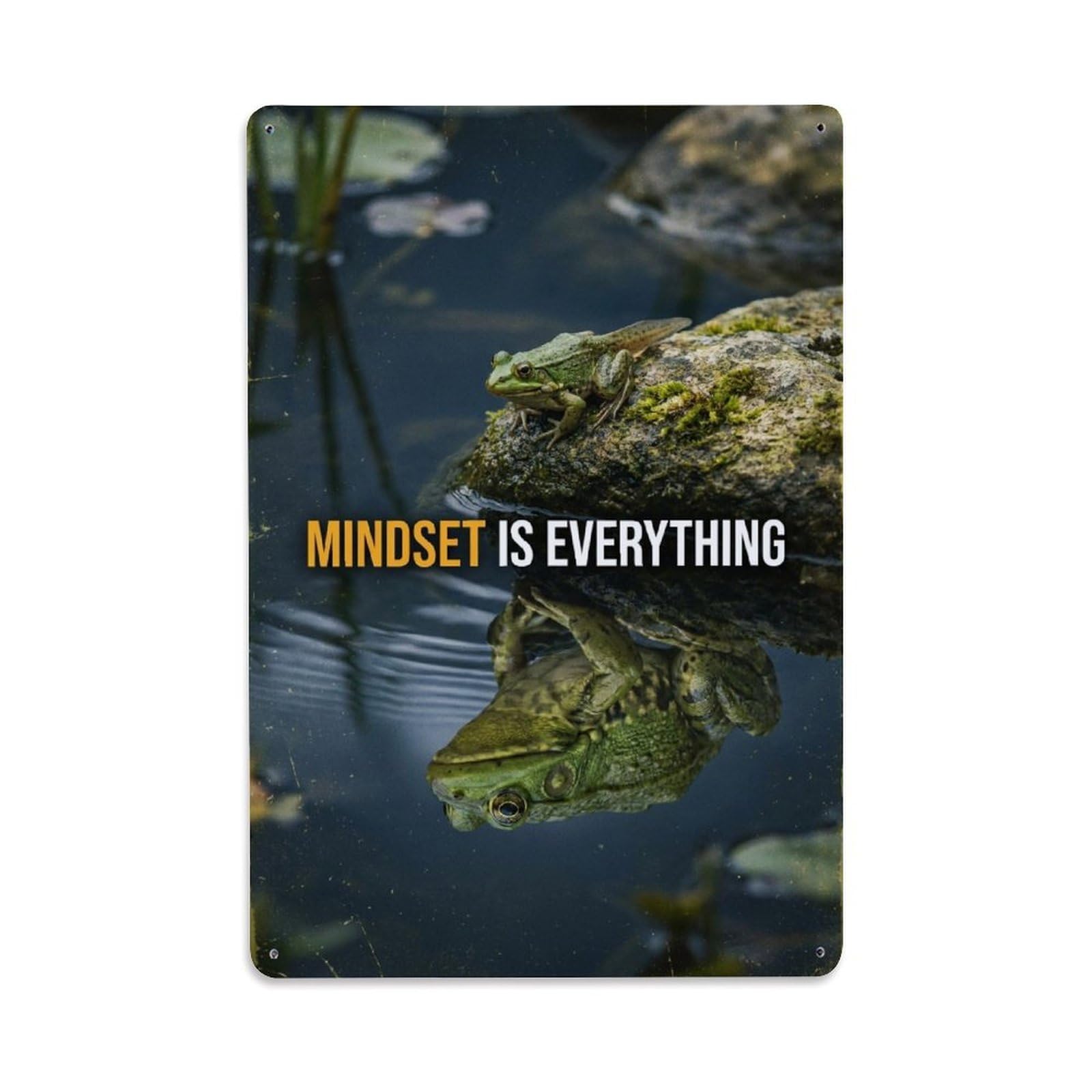 Olhnbad Style Frog Amphibian Mindset Is Everything Motivational Quote Metal Tin Sign