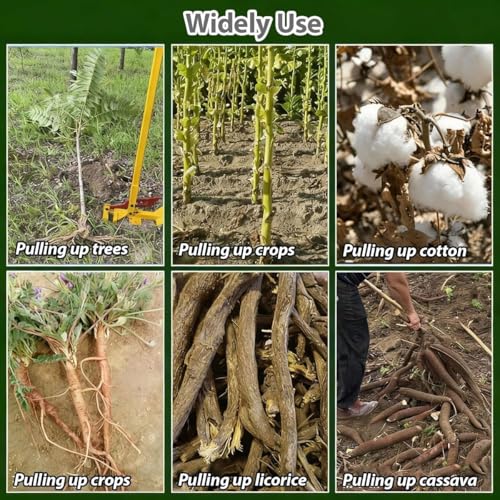 Extracteur de racines de petits arbres et arbustes, outil d'extraction robuste en acier