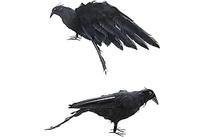 LWINGFLYER Crow Prop 13-Inch Realistic Black Feathered Crows