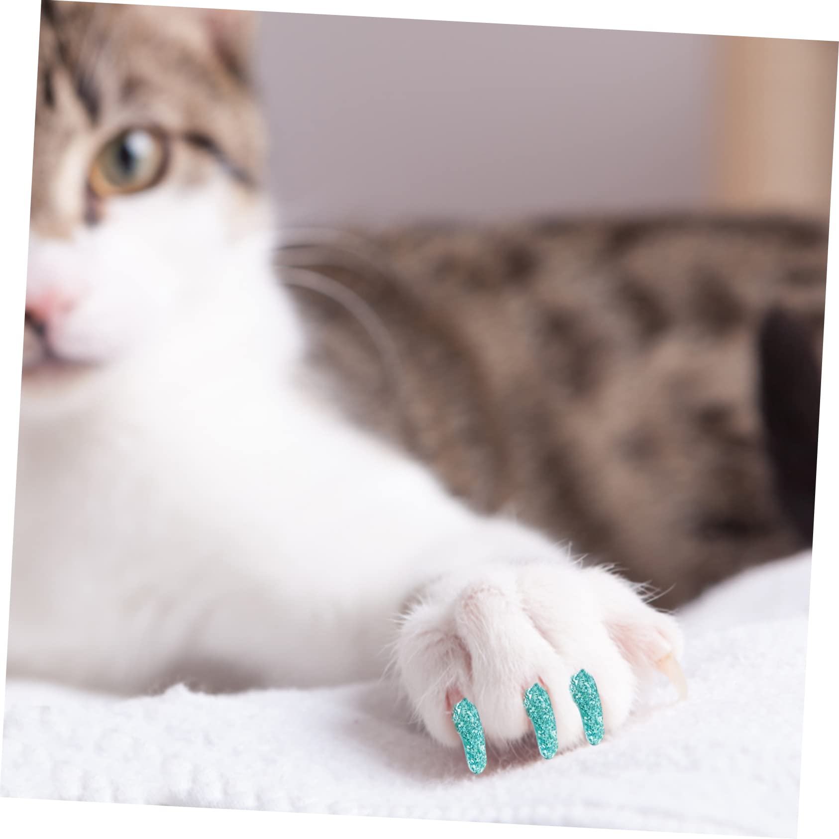 Supvox 50 Sätze Nagelset Für Katzen Nagelkappen Katzenkrallen Mit Kleber Nagelabdeckungen Für Katzen Kätzchen Verhakt Sich Die Nagelabdeckungen Krallen Für Haustiere Kieselgel