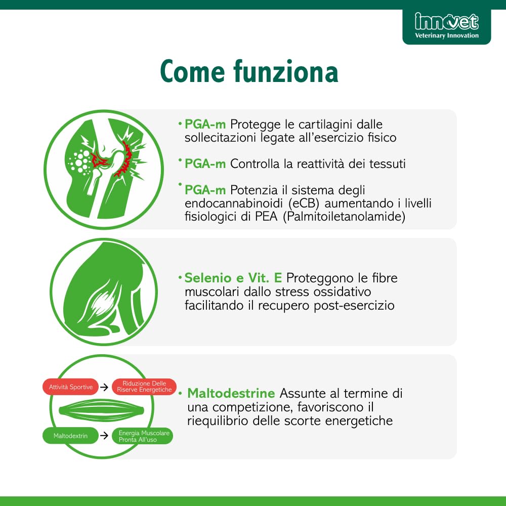 Innovet Condrogen Adult & Sport per cani – 60 bustine stick - Supporto articolare avanzato per cani adulti e cani sportivi, aiuta a mantenere mobilità, performance articolare e recupero muscolare
