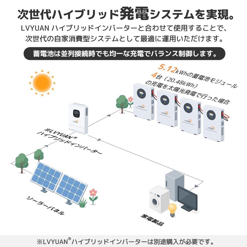 Amazon.co.jp: LVYUAN ハイブリッド発電システムセット 定格出力5kW