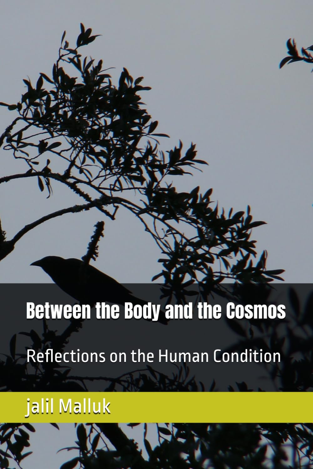 Between the Body and the Cosmos: Reflections on the Human Condition