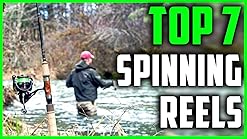 daiwa bg 5000 amazon