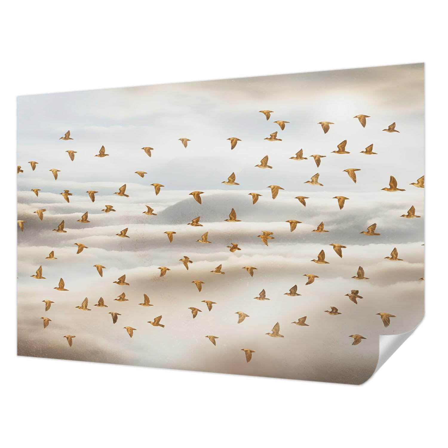 Fotomural autoadhesivo de pájaros en vuelo para dar vida al salón o dormitorio
