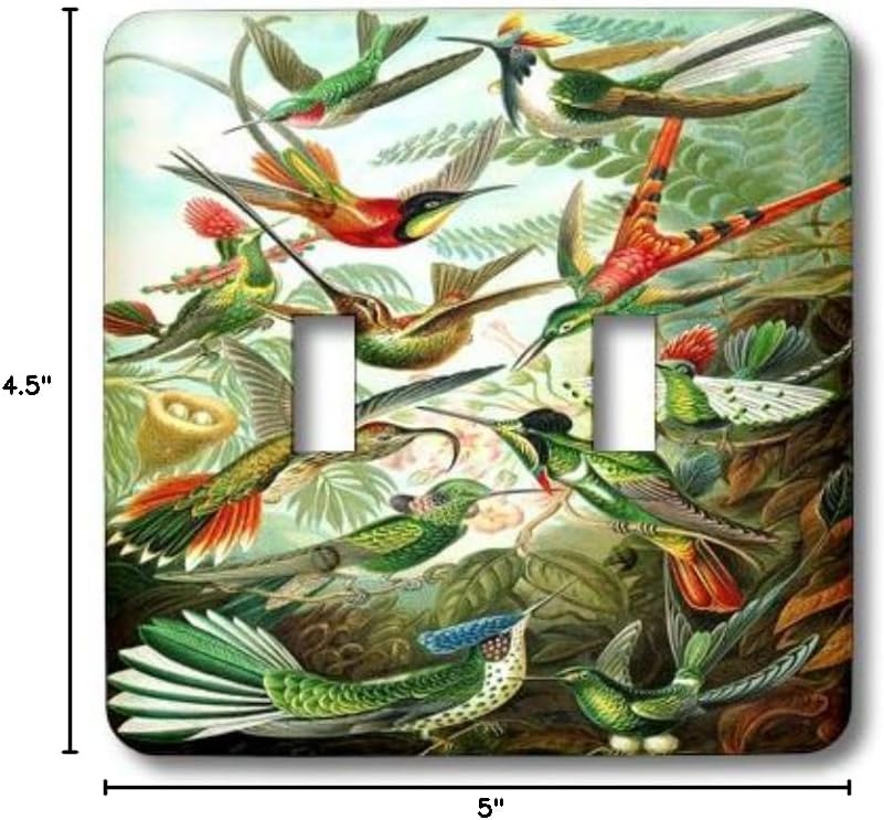 3dRose lsp_62149_2 Famous Biologist Sketch of Hummingbirds 1904 Double Toggle Switch