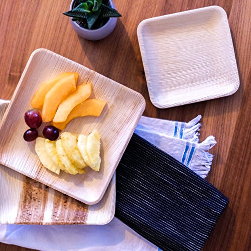 Disposable 7-Inch Square Bamboo Plates - 50 Pack - Eco-Friendly Palm Leaf Plates for Salads, Appetizers, or Desserts - Biodegradable