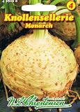 Knollensellerie Monarch GS (Portion)