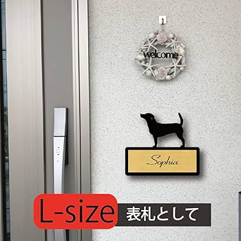 Amazon.co.jp: ENT フトアゴヒゲトカゲ オリジナルペット