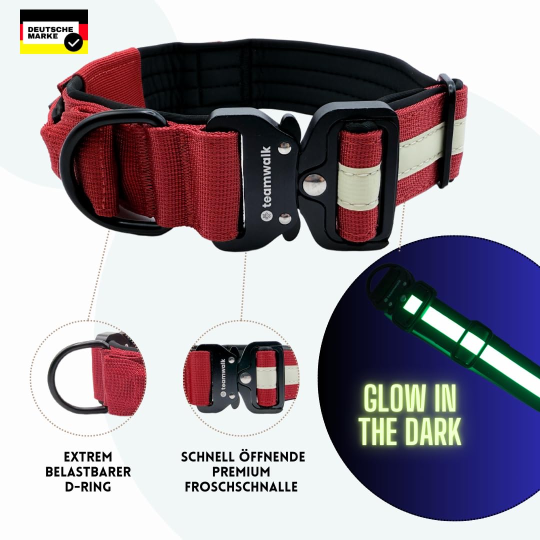 Collare per cani di alta qualità, con manico magnetico, strisce luminose, borsa Air-Tag, regolabile individualmente, imbottitura morbida, fibbia robusta, disponibile con guinzaglio abbinato,