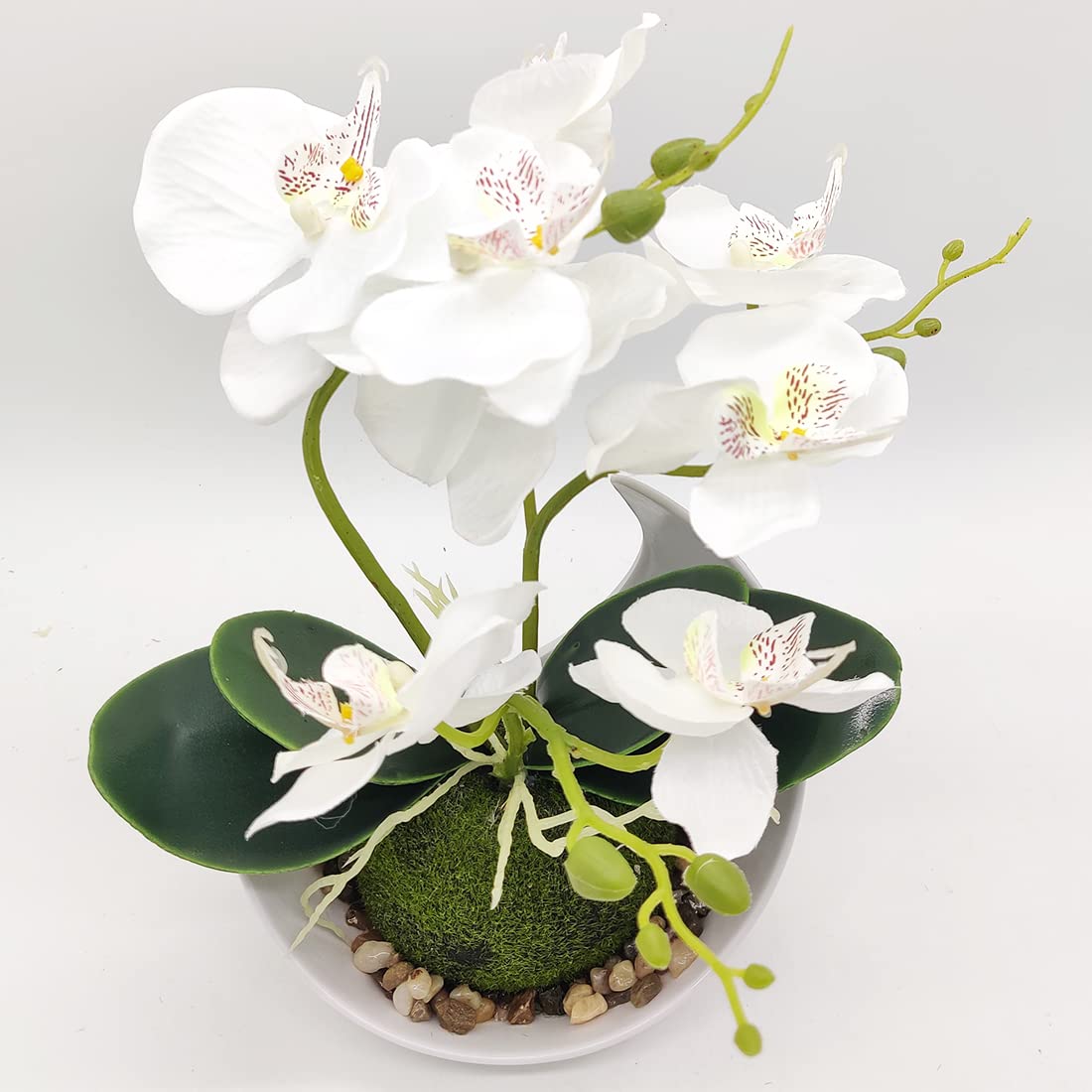 Orchidea Artificiale Bianca Finta Orchidea Con Vaso In Ceramica Vividi
