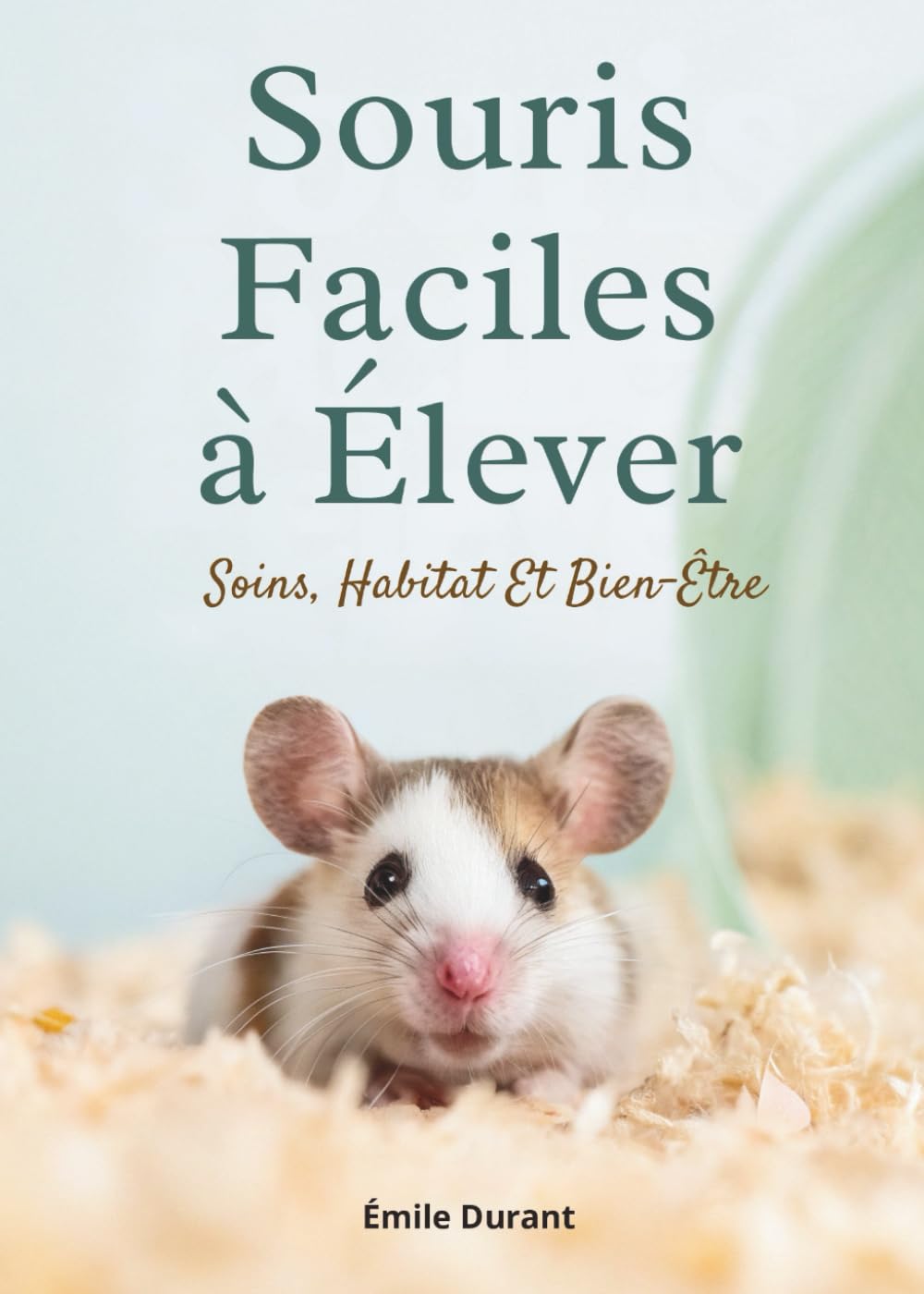 Souris Faciles À Élever: Soins, Habitat Et Bien-Être