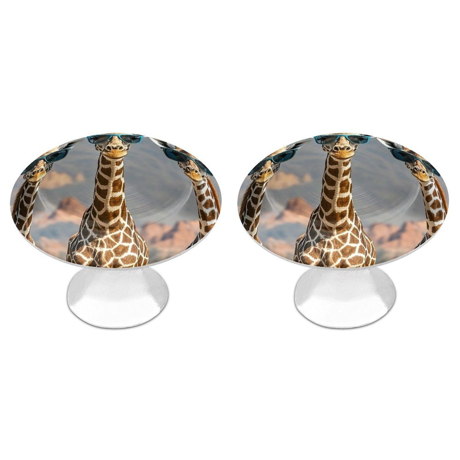 FekiLoot Three Giraffes Wearing Sunglasses Cabinet Knob 2 Pack Mini Round Drawer Pulls Stainless Steel Dresser Drawer Knobs Kitchen Drawer Hardware for Bathroom Dresser Closet Door Knobs