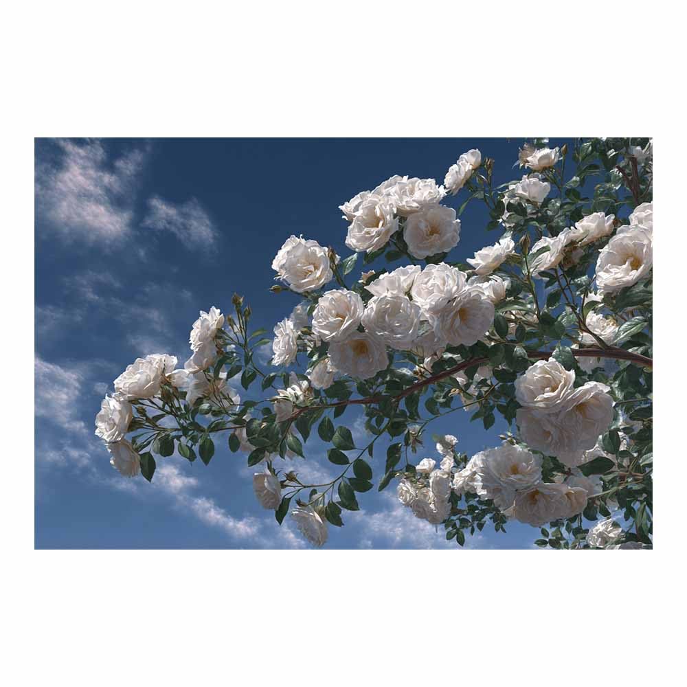 ZAMAEIU Landscape Pictures For Wall Branch-drooping flowers art prints and posters, Suitable for Living Room Bedroom Decor apartment Wall Decoration(white)-80x120cm Unframed