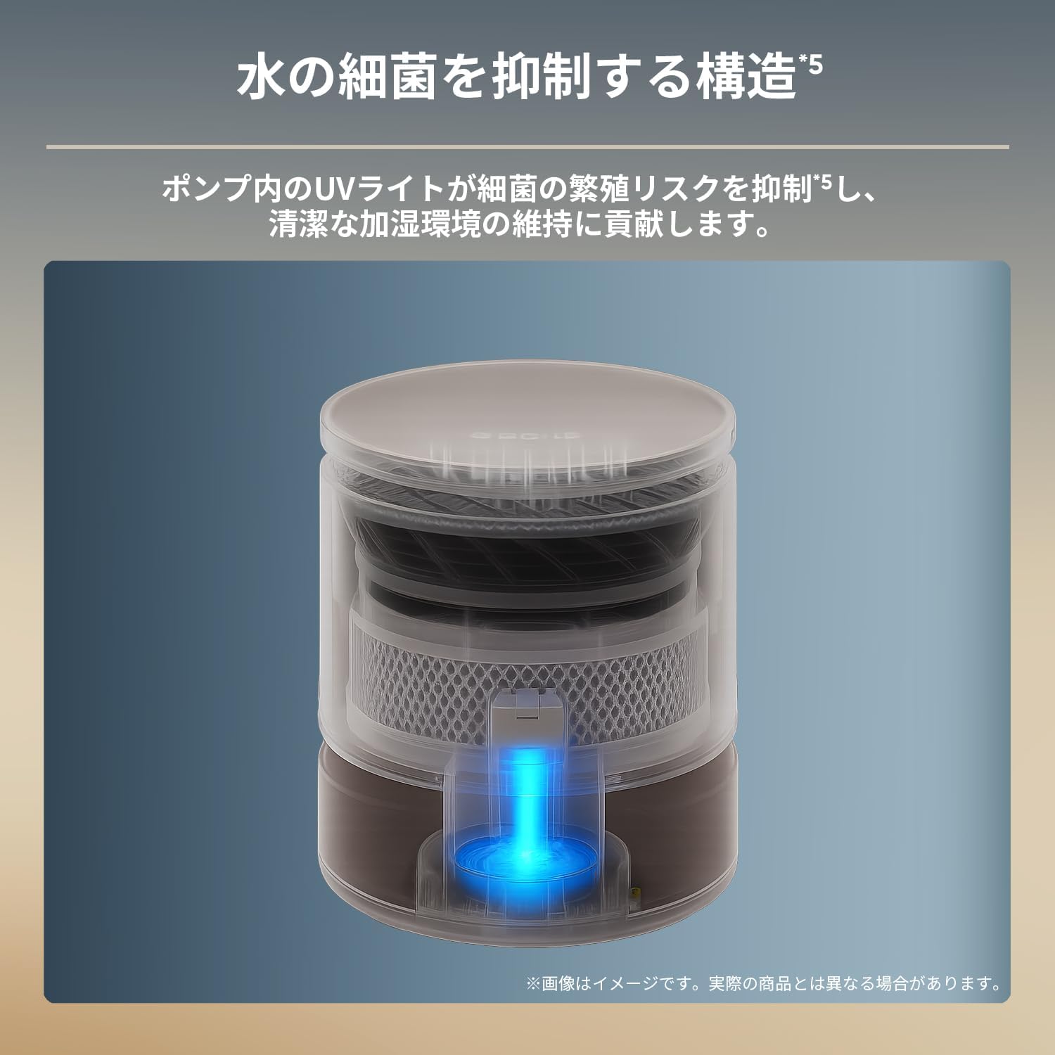 내부 view of the humidifier highlighting the UV light in the pump, which suppresses bacterial growth in the water.