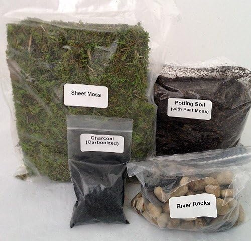 Terrarium Essentials Kit sold by JM Bamboo