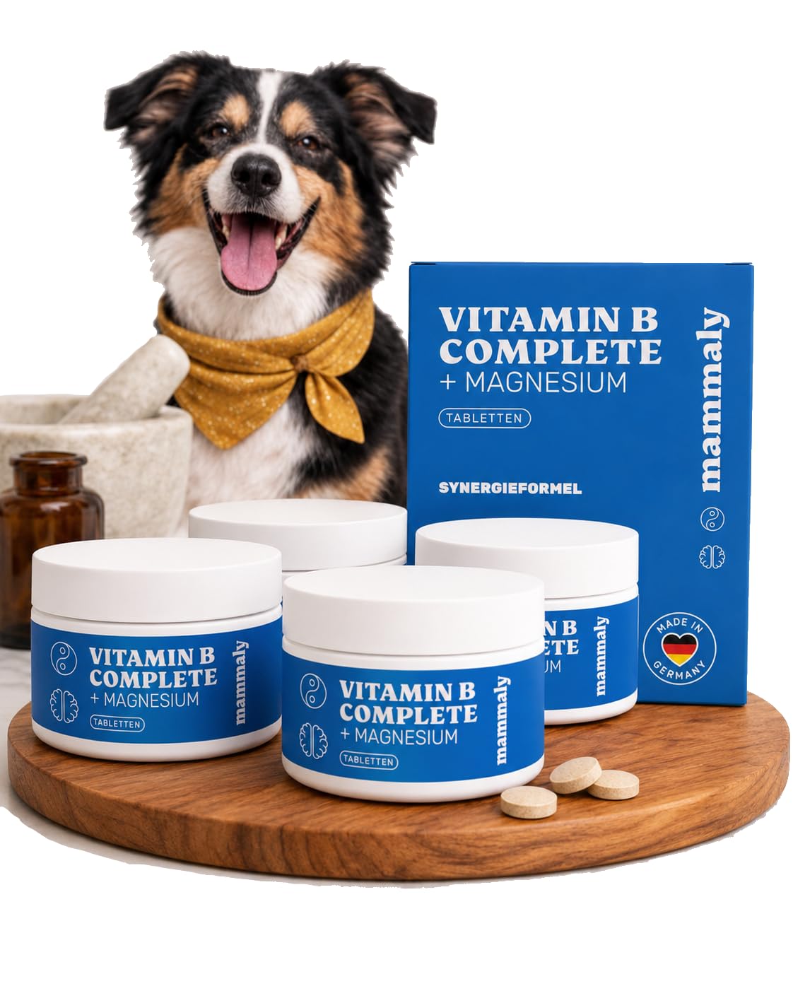 mammaly 4er BESTPREIS-Paket: Vitamin B Complete + Magnesium (bis 480 Tage) | mit 480 Tabletten (hochkonzentriert) für Stress, Haut & Fell - mit B12, Biotin - DLG zertifiziert - mit Tierärzten entwickelt