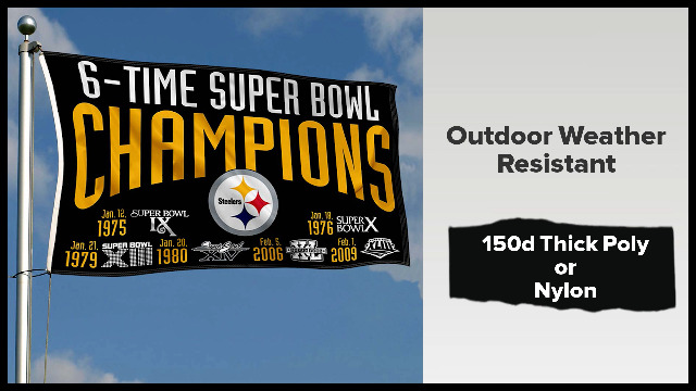 Amazon.com : Pittsburgh Steelers 6X and 6 Time Super Bowl