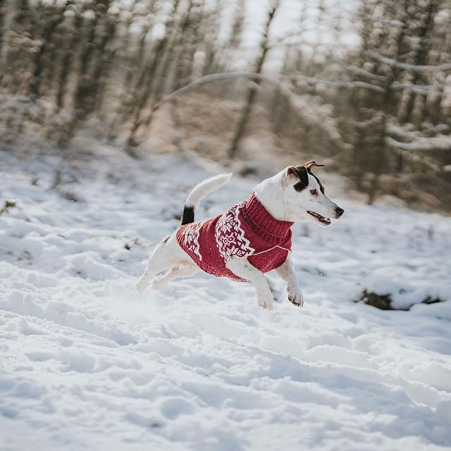 Foto 8 de 8 de Hunter BIRKA - Jersey para Perros de Punto cálido con Hilo de Chenilla Suave, Cuello Alto y patrón Noruego…