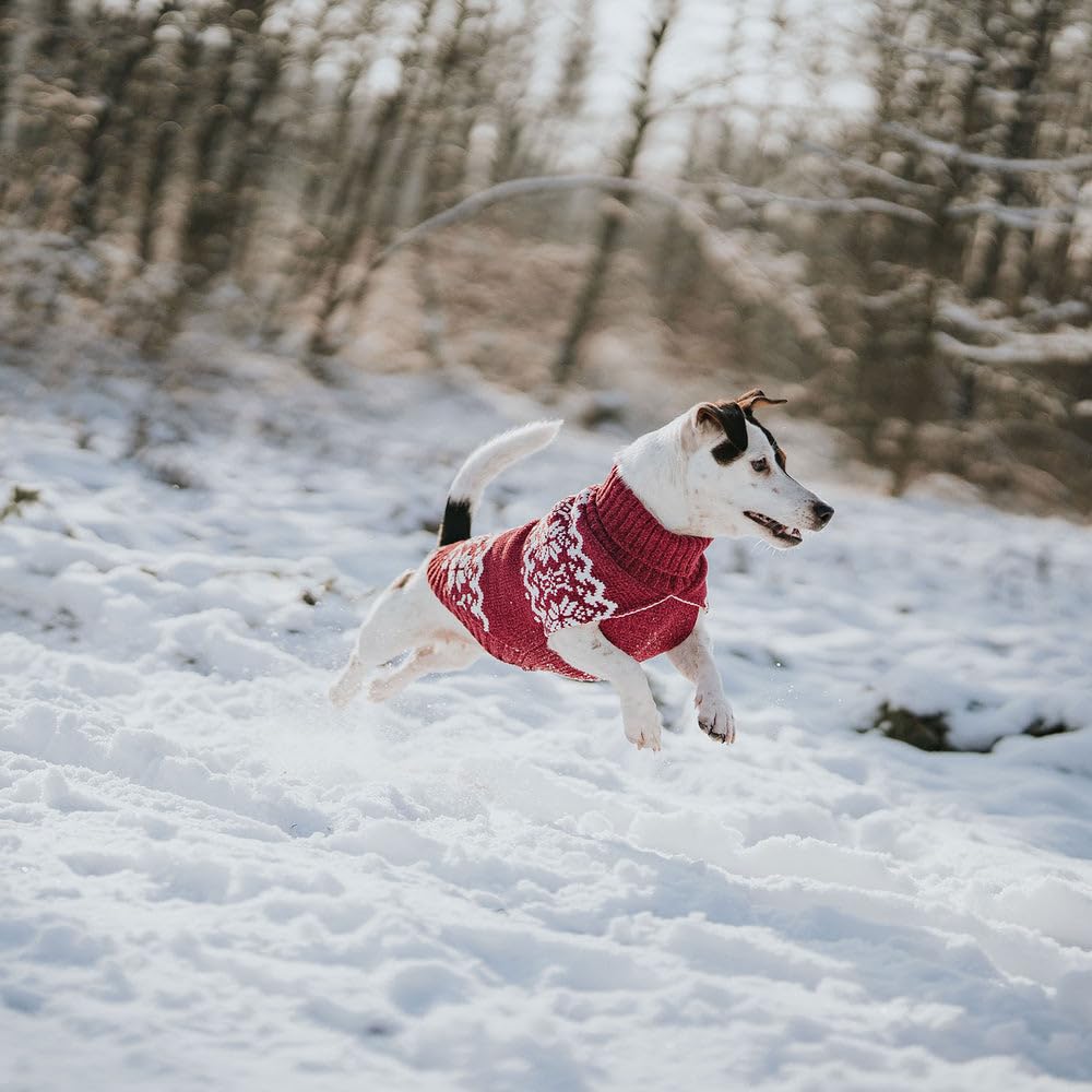 Hunter Hundepullover BIRKA, Warmer Strickpullover für Hunde, weiches Chenille-Garn, mit Rollkragen & Norwegermuster, maschinenwaschbar bei 30°C, Farbe: rot, Größe: 60