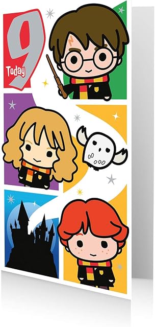 Harry Potter Official Age 9 Birthday Card Multi Colour HP029