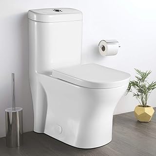 Fine Fixtures Dual-Flush Elongated One-Piece Toilet with High Efficiency Flush