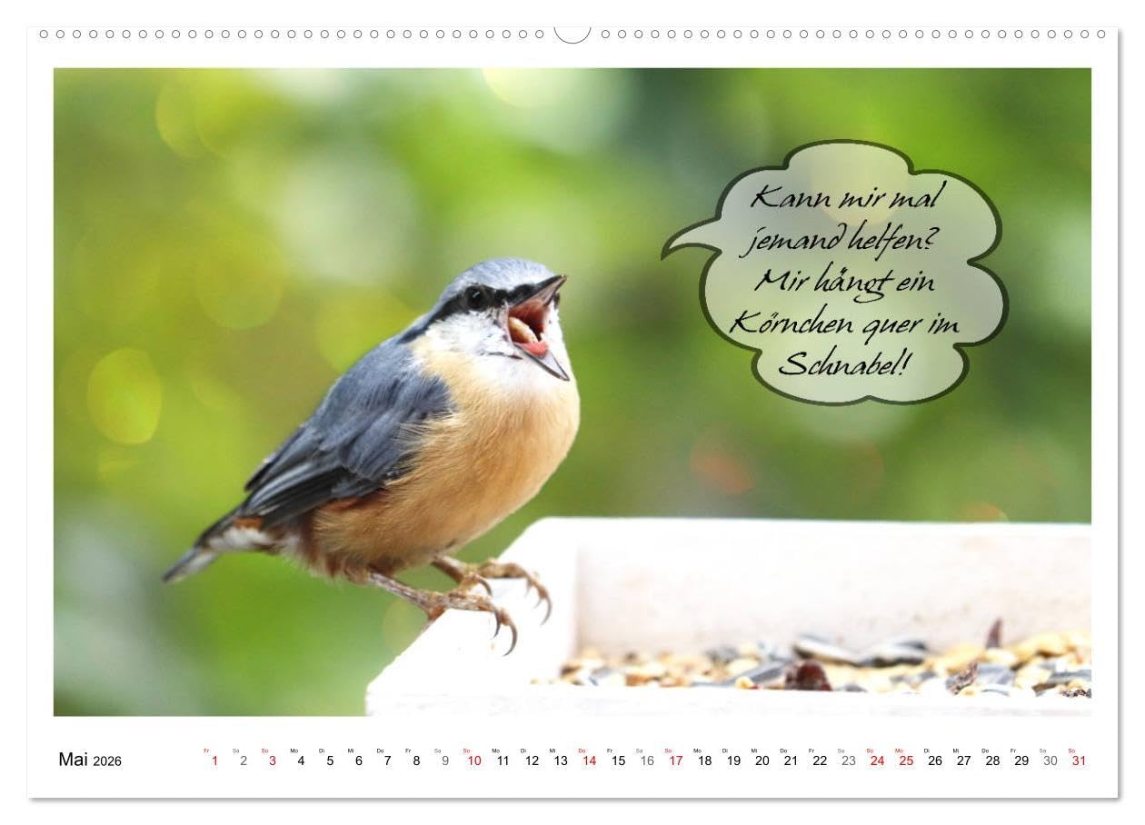 Vögel mit Humor (hochwertiger Premium Wandkalender 2026 DIN A2 quer), Kunstdruck in Hochglanz: Lustige Sprüche aus frechen Schnäbeln (CALVENDO Spass)