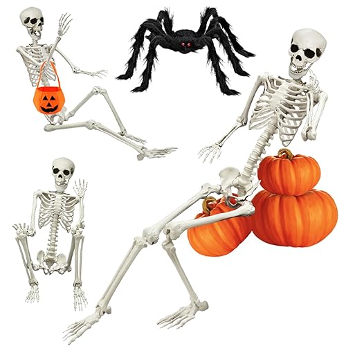 UMEELR 5.4FT Halloween Life Skeleton with Spider, Full Size Skeleton
