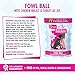 Weruva Dogs in The Kitchen, Fowl Ball with Chicken Breast & Turkey Au Jus Dog Food, 2.8oz Pouch (Pack of 12)