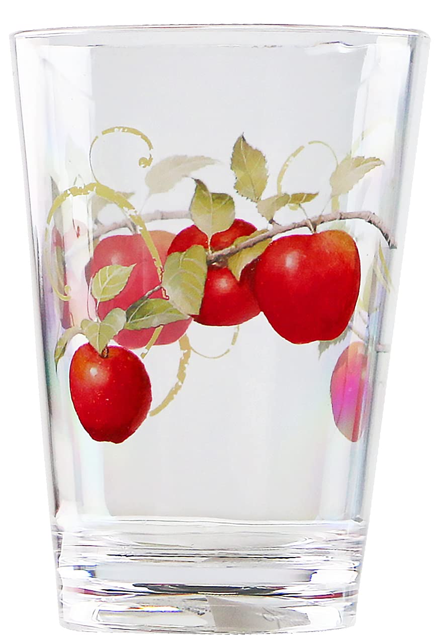 Reston Lloyd Harvest Apple Rock Glasses - Set of 6 -3