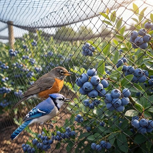 Yoojahow 50 x 60 ft Heavy Duty Polyethylene Aviary Anti Bird Netting for Garden Fence Blueberries Fruit Tree Plant with 0.79" Mesh UV-Protected for Chicken Coop Poultry Roof Against Gamefowl Hawk Deer by Yoojahow - Image 4