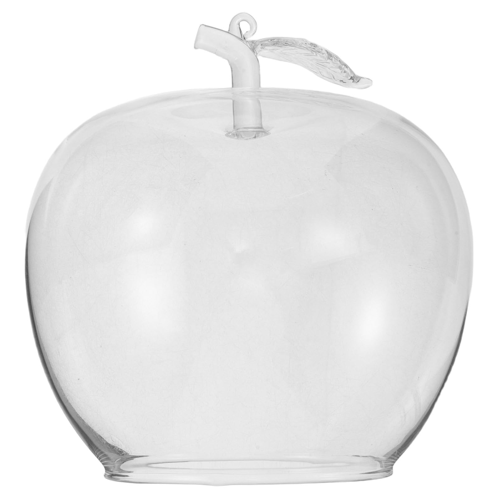 Cúpula de cristal transparente decorativa ideal como cubierta para regalos