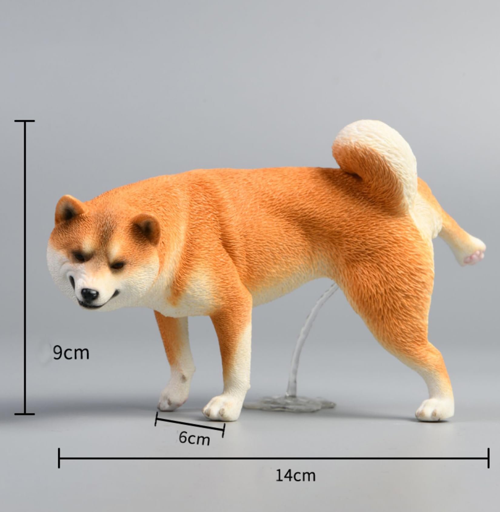 Amazon.co.jp: 1/6 サイズ 柴犬 シバイヌ 可愛い 滑稽 犬 動物 リアル