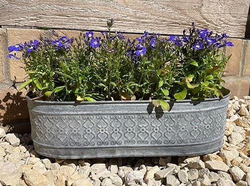 Jardinière en zinc galvanisé pour fleurs | Lot de 3 pots de jardin
