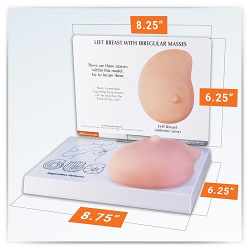 Vista 11 de GPI Anatomicals - Female Pelvis Model, Replica for Human Anatomy and Physiology Education, Anatomy Model for Doctor's Offices and Classrooms