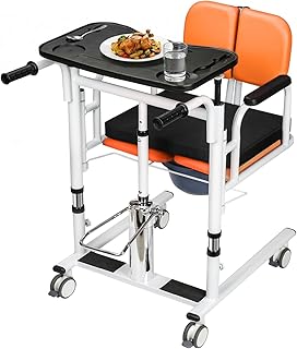 Patient Lift Transfer Chair for Home, 440lbs Capacity, 4 in 1 Patient Lift Transfer