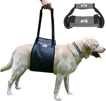 Amazon Sehoo犬用 歩行補助ハーネス 小型犬 老犬用 介 護用品 足腰弱い 中型犬 リード 胴輪 ペット用 後足用 障害犬 登山用 通気性 ブラック L Sehoo ハーネス 通販