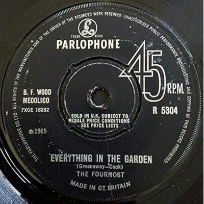 Everything In The Garden / He Could Never