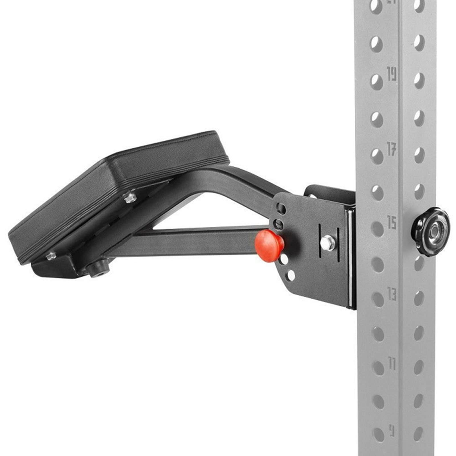 Renegade Station Horizontal