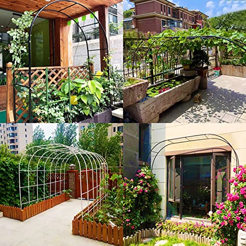 Arbor ogrodowy Pergola, metalowy łuk różany pnącza, łuk ślubny, ogrodzenie ogrodowe krata altanka odporna na warunki atmosferyczne, do ogrodu, ślubu, dekoracji imprez (kolor: czarny, rozmia