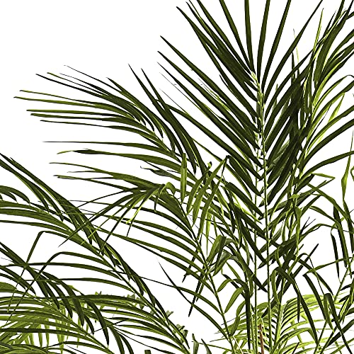 Nearly Natural 5366 Robellini Palm Tree, 6-Feet, Green #TOP1