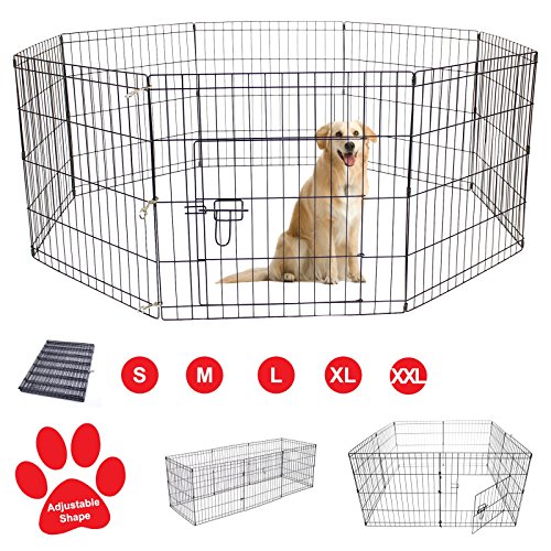 rac dog cage