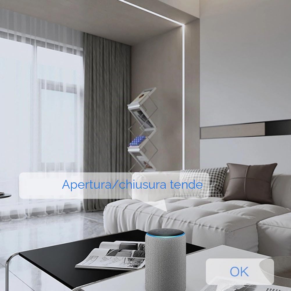 Tuya Smart WiFi Apri-tende Automatico+Telecomando Asta Romana Tende Interruttore Robot Telecomando per Alexa Home